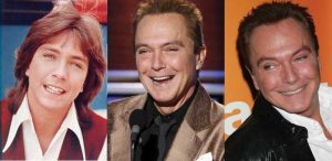 david cassidy plastic surgery